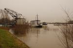 Hochwasser am Rhein