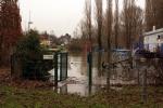 Hochwasser am Rhein