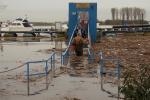 Hochwasser am Rhein