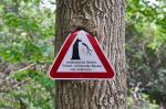 Baum-frisst-Schild