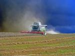 Gewitter bedroht Ernte