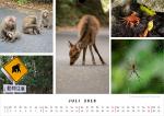 Kalender 2018 Juli