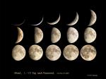 15 mal Mond