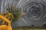 Startrail