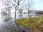 Hochwasser am Rhein