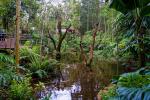 Parque des Aves Iguacu