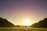 Sonnenaufgang am Feld