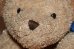 Teddy (crop)