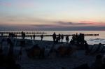 Bilderflut am Strand von Zingst