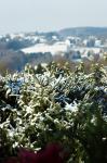 Blick aus dem Fenster