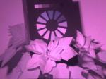 QuickCam mit IR-Filter, ohne IR-Sperrfilter