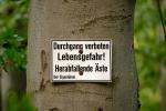 Schild