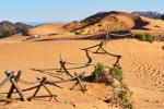 Coral Pink Sand Dunes1