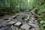 viele Steine, wenig Wasser