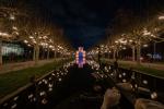 Christmas Gardens Wilhelma Stuttgart - Bild 7