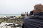 irland will fotografiert werden