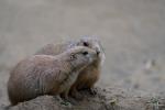 2019-07-14 17-34-32 Tierpark.JPG