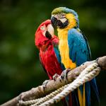 Tierpark Halberstadt