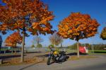 Bikerherbst