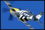 P51