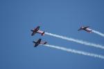 Royal Jordanian Falcons