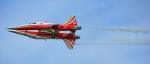 Mirror Patrouille Suisse