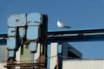 Fischereihafen Bremerhaven