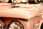 Pink Thunderbird