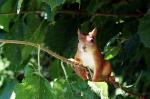 Besuch im Garten