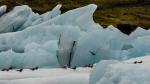 Küstenseeschwalben am Jökulsárlón (2)