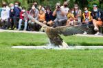 Seeadler 6