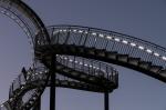 Tiger and Turtle 2