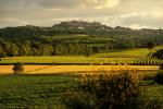 Montepulciano