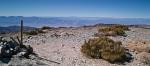 View from Wildrose Peak