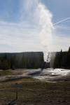 (205)	Lone Star Geyser im Gegenlicht