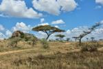 Granitfelsen in der Serengeti