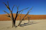 Dead Vlei