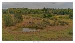 Nationalpark Bialowieza