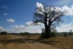 Südafrika, Lowveld