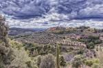 Tuscany Landscape