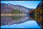 Herbst am Almsee