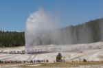 Geysir - Yellowstone Nationalpark