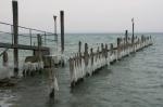 Niedrigwasser Bodensee