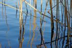 Im Schlosspark Charlottenburg