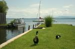 Chiemsee -3-