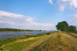 Oderlandschaft im Frühsommer