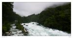Hollyford River (NZ)