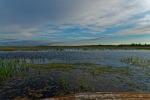 Narew Überschwemmungsgebiet