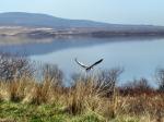 Auf dem Abflug- auch in Schottland