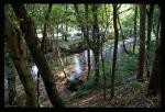 Bergisches Land - Die Dhünn bei Altenberg